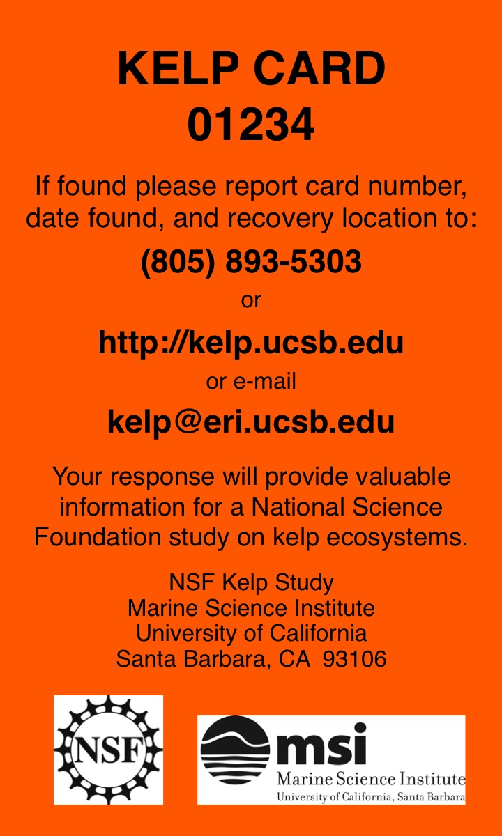 Kelp Card Image